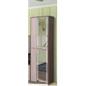 Шкаф АШ-2 Арсения-3